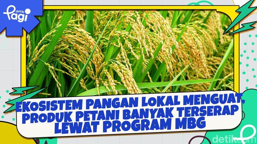 Video: Program MBG, Investasi Masa Depan di Sektor SDM