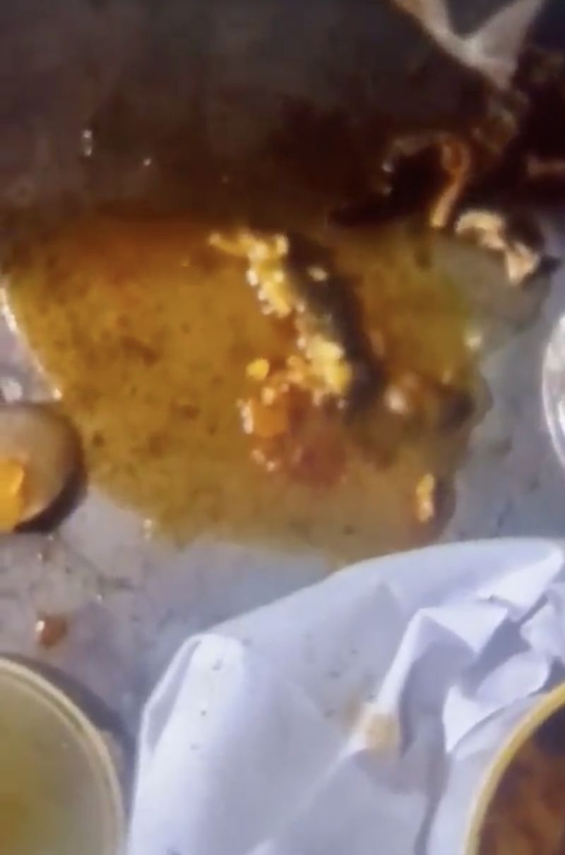 Kadal Mati Ikut Tersaji di Kari Ayam, Pelanggan Sampai Pingsan!