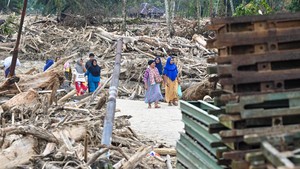 Kayu Gelondongan Hambat Evakuasi di Tapteng, Begini Penampakannya