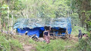 Rumah Lenyap Diseret Banjir, Warga Nagan Raya Bertahan di Tenda Hutan