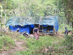 Derita yang Tak Kunjung Surut di Aceh