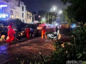 Pohon Tumbang di Pinangsia Jakbar Dievakuasi, Jalan Mulai Bisa Dilintasi