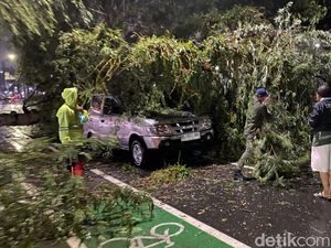 Pohon Tumbang Timpa Mobil di Medan, Lalu Lintas Dialihkan