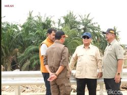 Prabowo Bakal Sikat Pembalakan Liar!