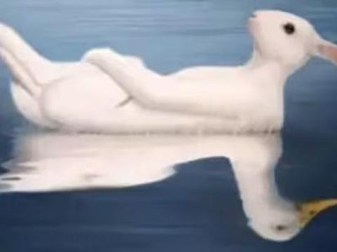 Tes kepribadian ilusi optik dari Mia Yilin ini akan mengungkap apakah kamu seseorang yang menawan atau seseorang yang intelektual.