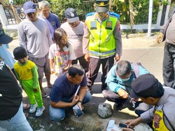 Geger Gumpalan Daging Dikira Janin Tercecer di Jalanan Klaten, Ternyata...