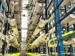 Ini Dia Agrowisata Vertical Farming Tertinggi di Indonesia