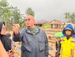 Andre Rosiade Dukung Pembangunan Jembatan Gunung Nago dengan Dana Pusat