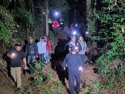 Polisi Usut Dugaan Illegal Logging Bikin Hutan Lindung di Gowa Gundul