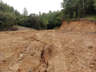 Potret Puluhan Hektare Hutan Lindung Gundul di Gowa Akibat Illegal Logging