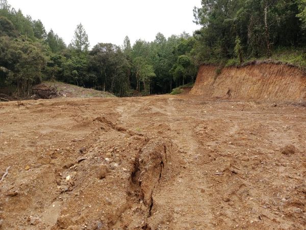 Potret Puluhan Hektare Hutan Lindung Gundul di Gowa Akibat Illegal Logging