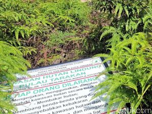 Solusi Walkot Tarakan untuk Hutan Lindung yang Beralih Fungsi Jadi Permukiman