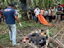 Polisi Temukan Spion Motor-Helm Milik Siswa SMK yang Tewas di Kebun Sawit