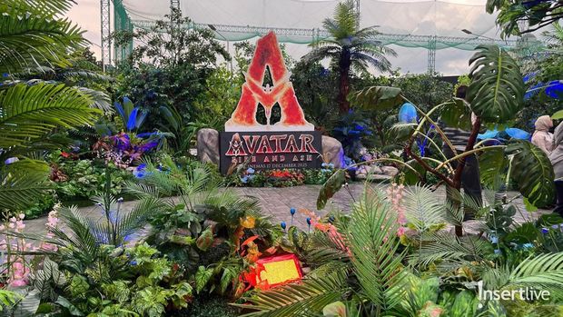  Fire and Ash' Experience