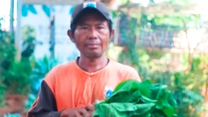 Video: Bercocok Tanam di Bawah Kolong Jalan Tol