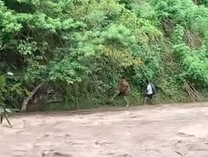 Banjir Terjang Air Terjun Pelangi, Beruntung 2 Korban Berhasil Selamat