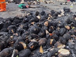 Pedagang di Kalibata Ikhlas Durian Gosong Sisa Ricuh Matel Disantap Warga