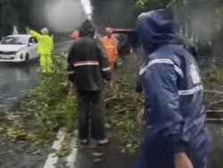 Ini Faktor Penyebab Cuaca Ekstrem Tumbangkan Sejumlah Pohon di Surabaya