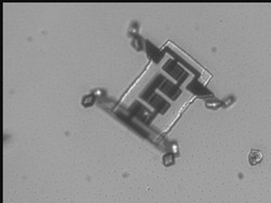 Ilmuwan Ciptakan Robot Mini Pintar untuk Masuki Tubuh Manusia