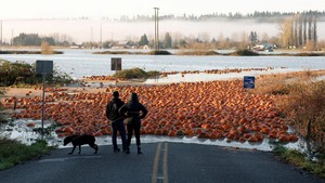 Sungai Atmosfer Picu Banjir di Pasifik Barat Laut