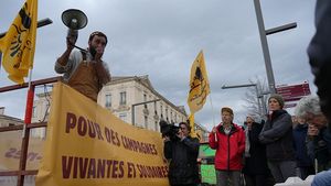 Petani Prancis Gelar Aksi di Avignon, Tolak Pemusnahan Massal Sapi