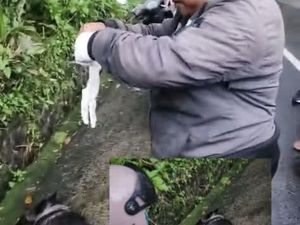 12 Warga Sulahan Bangli Digigit Anjing Diduga Rabies