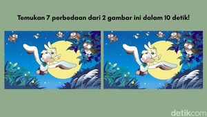 Sekilas Terlihat Sama, Mampukah Kamu Menemukan Semua Perbedaannya?