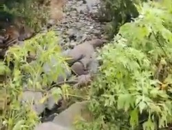 Fenomena Sungai Mengering di Tanah Datar, Badan Geologi Jelaskan Alasannya