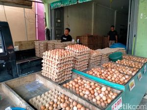 Harga Telur Ayam di Binjai Naik, Pedagang Duga karena MBG dan Nataru