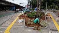Jalur Hijau di Pedestrian Slipi Petamburan Dipercantik