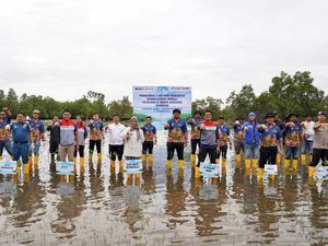 Pertamina Patra Niaga Hijaukan Pesisir Bengkulu Lewat Tanam Mangrove