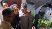 Tampang Pria Gimbal yang Diringkus Polisi dari Pertanian Ganja di Jombang