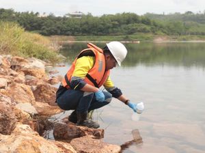 Jaga Lingkungan, PT BSI Terapkan Reklamasi Progresif di Banyuwangi