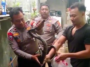 Warga Bekasi Ngadu Ular Masuk Rumah ke 110, Polisi Turun Tangan