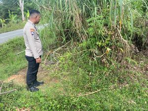 Bayi Laki-laki Terbungkus Kain Ditemukan di Pinggir Jalan Kerinci