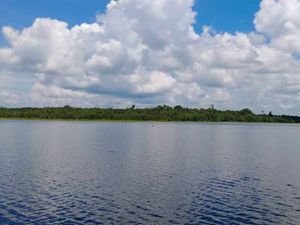Pesona Danau Sembuluh, Danau Terbesar di Kalimantan Tengah