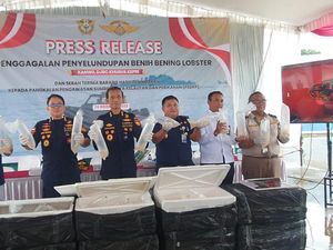 Penyelundupan 129 Ribu Benih Lobster di Perairan Lingga Digagalkan