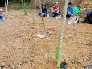 Kemenhut Kerahkan Tim Tinjau Penggundulan Hutan Lindung di Tombolo Pao Gowa