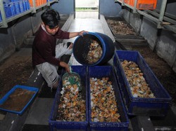 Perang Iran Berkepanjangan Berisiko Krisis Pupuk, Dosen UGM Saran Beralih ke Organik