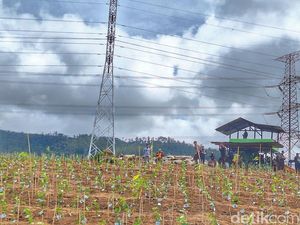 TNI Bangun Pos Pantau Antisipasi Perusakan Kebun Teh Pangalengan