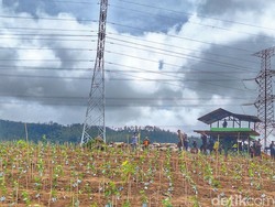 TNI Bangun Pos Pantau Antisipasi Perusakan Kebun Teh Pangalengan