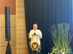 RI Dulu Importir Terbesar Kini Surplus Beras 4,7 Juta Ton, Ko Bisa?