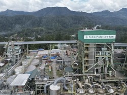Toba Pulp Lestari Pernah Disikat Luhut hingga Izinnya Dicabut Prabowo