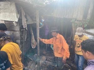 Lansia di Balangan Kalsel Tewas Digigit Ular Saat Tidur