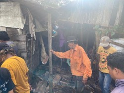 Lansia di Balangan Kalsel Tewas Digigit Ular Saat Tidur