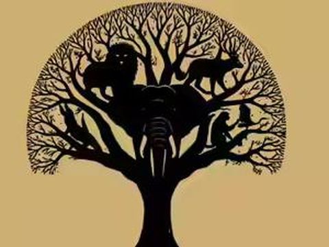 Tes kepribadian ilusi optik yang dirilis oleh Feel Good Contacts menunjukkan gambar enam hewan tersembunyi di sebuah pohon. Gambar-gambar tersebut akan mengungkap jati diri masing-masing individu.