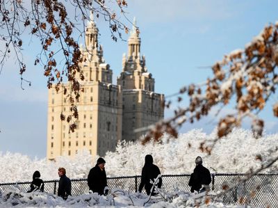 Warga New York Menikmati Suasana Winter di Central Park