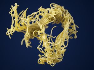 Benarkah Tubuh Manusia Perlu Berhari-hari untuk Mencerna Mi Instan? Ini Faktanya