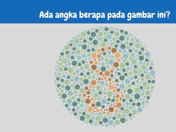 Nggak Semua Orang Bisa Lihat Angka di Tes Buta Warna Ini, Kamu Bisa?