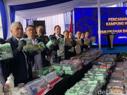 BNN Musnahkan 233 Kg Ganja-113 Kg Sabu: Selamatkan 690 Ribu Jiwa